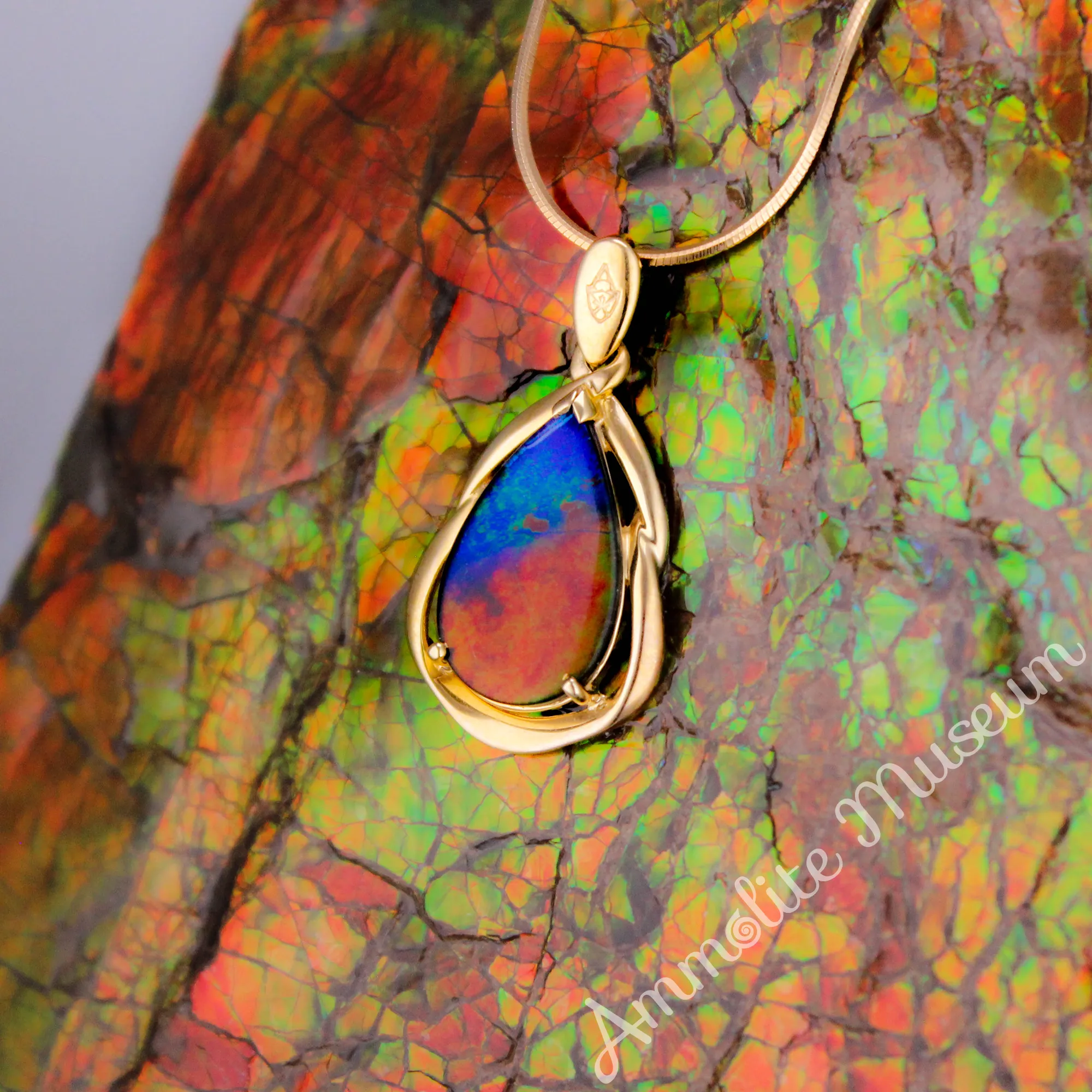 14K Gold Teardrop Ammolite Pendant