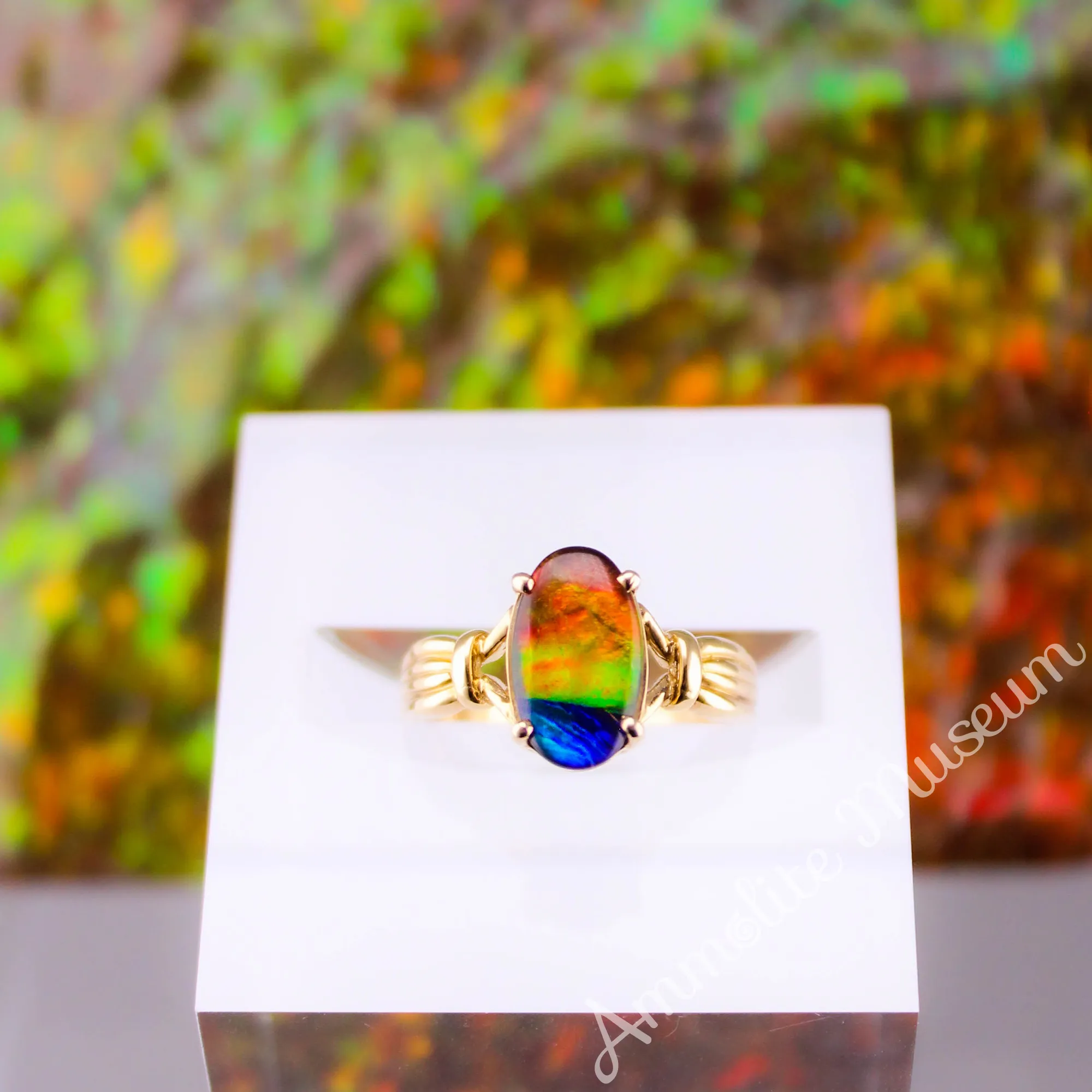 AURORA 14K Yellow Gold Oval Ammolite Ring