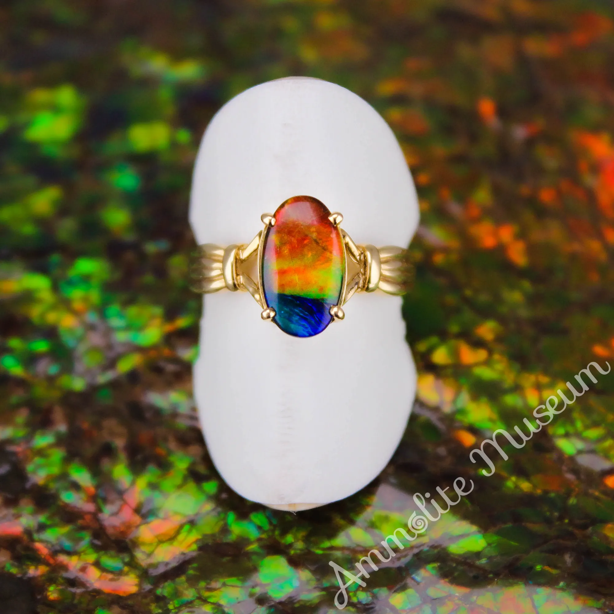 AURORA 14K Yellow Gold Oval Ammolite Ring