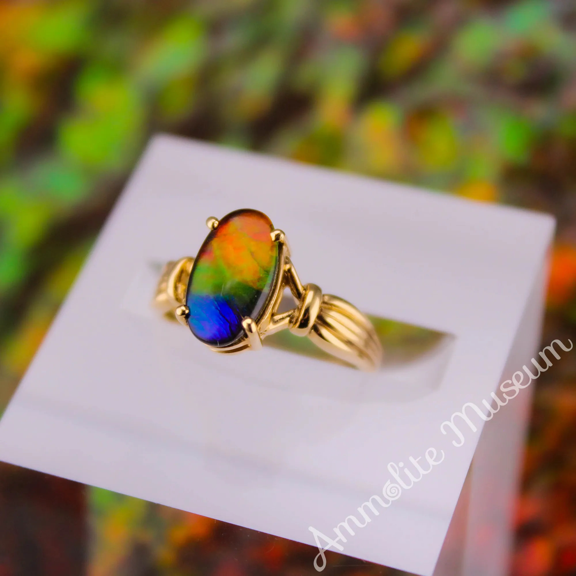 AURORA 14K Yellow Gold Oval Ammolite Ring