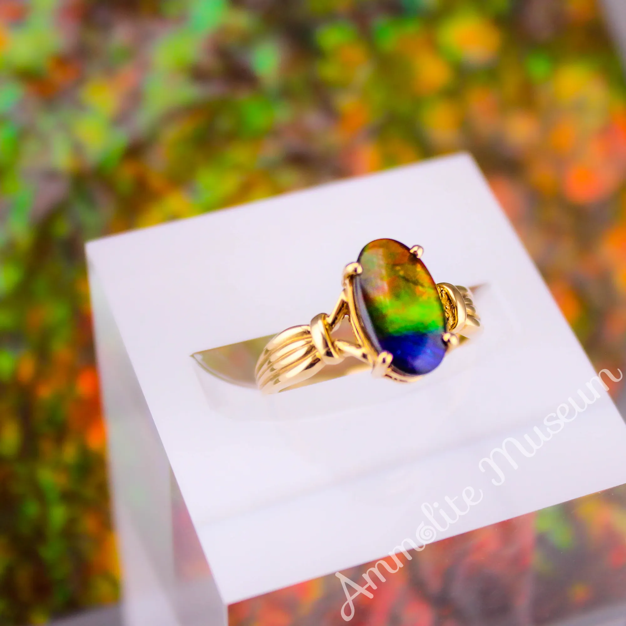 AURORA 14K Yellow Gold Oval Ammolite Ring